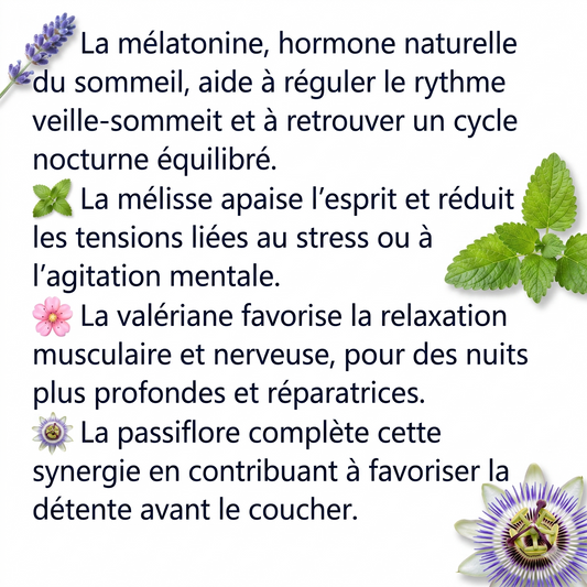 SOMMEIL