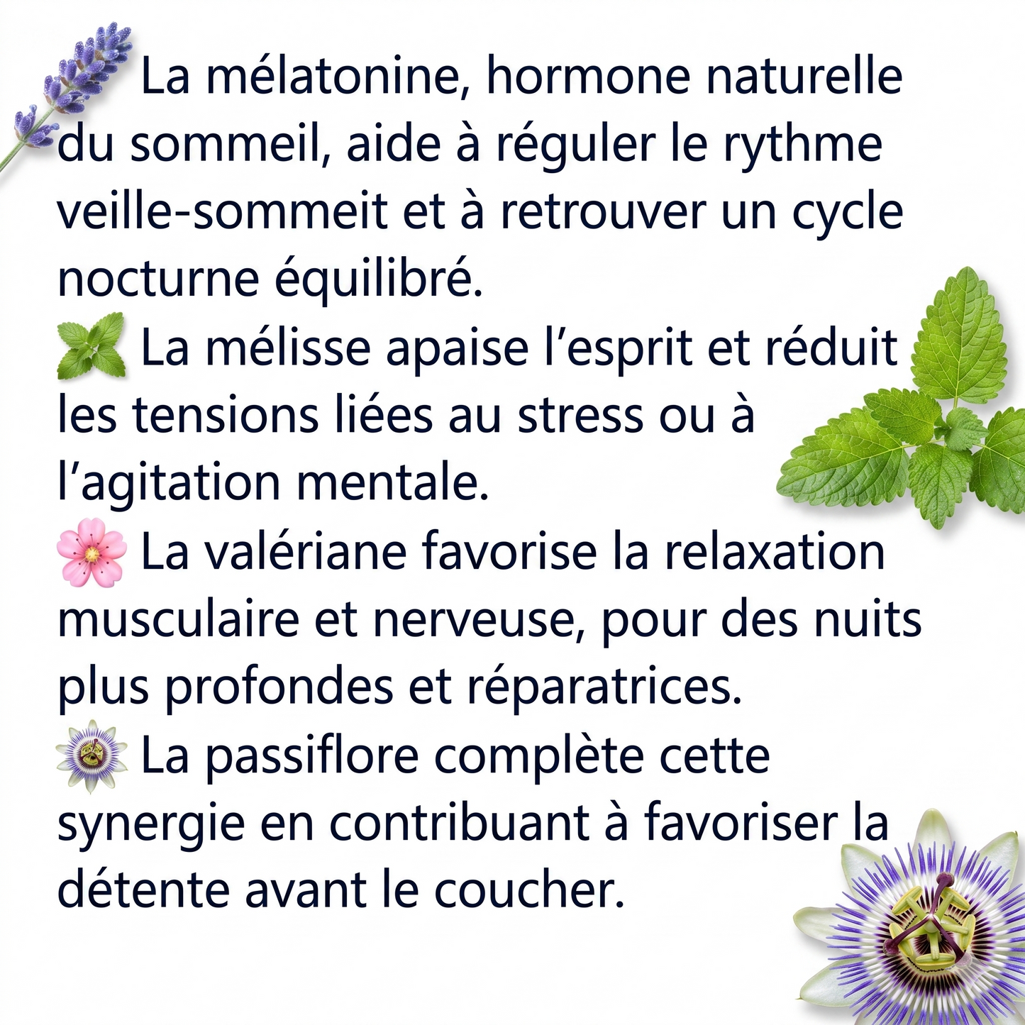 SOMMEIL