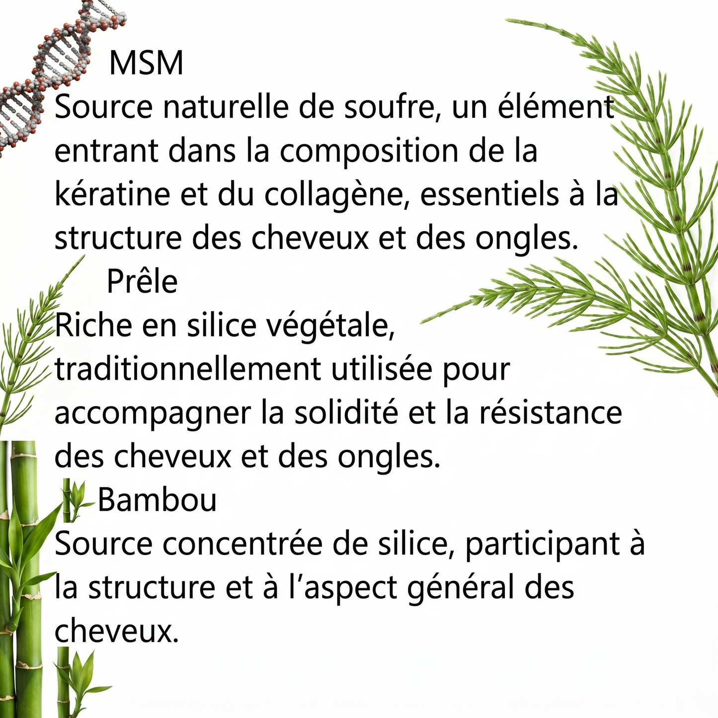 BEAUTE DES CHEVEUX ET ONGLES